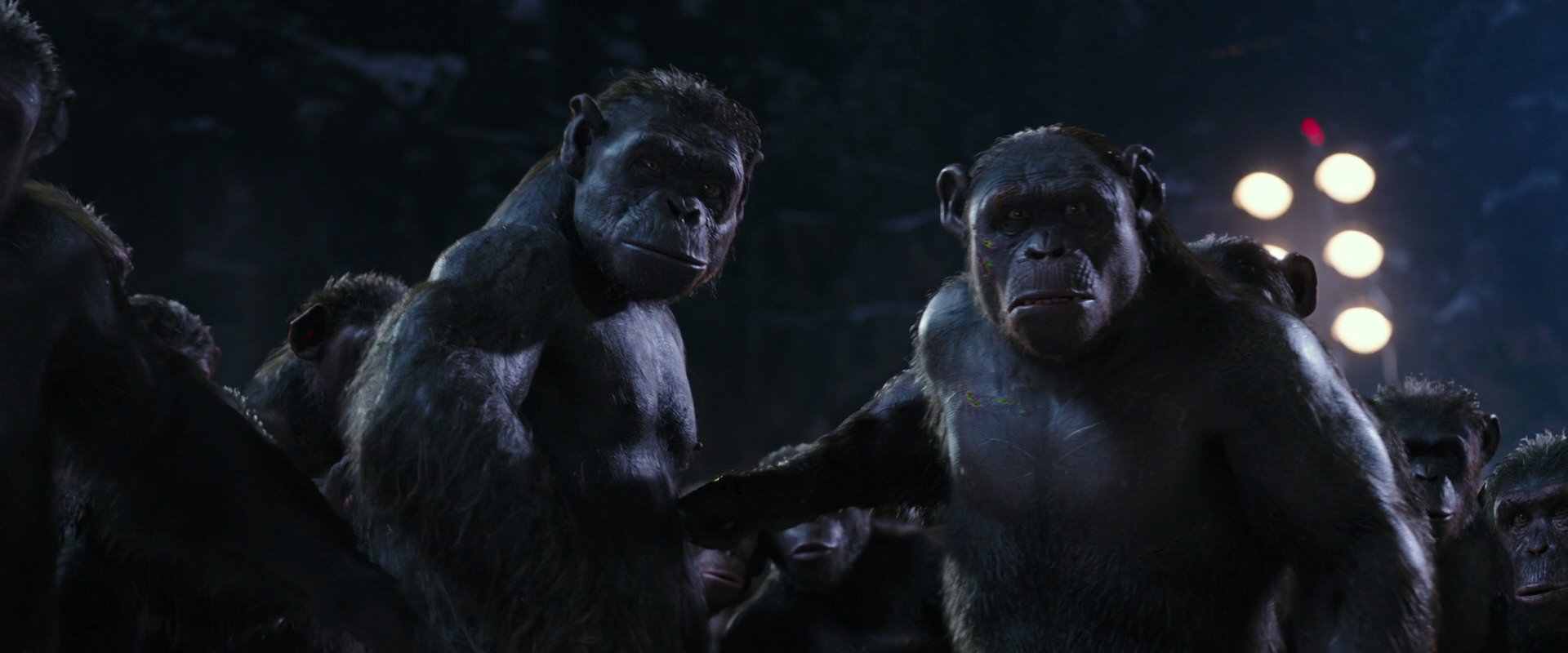 War for the Planet of the Apes (2017) screencap 12330