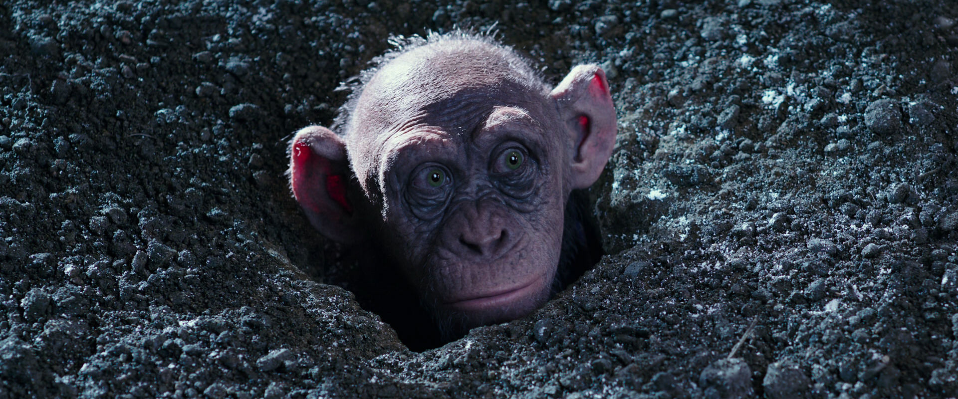 War for the Planet of the Apes (2017) movie still 12331
