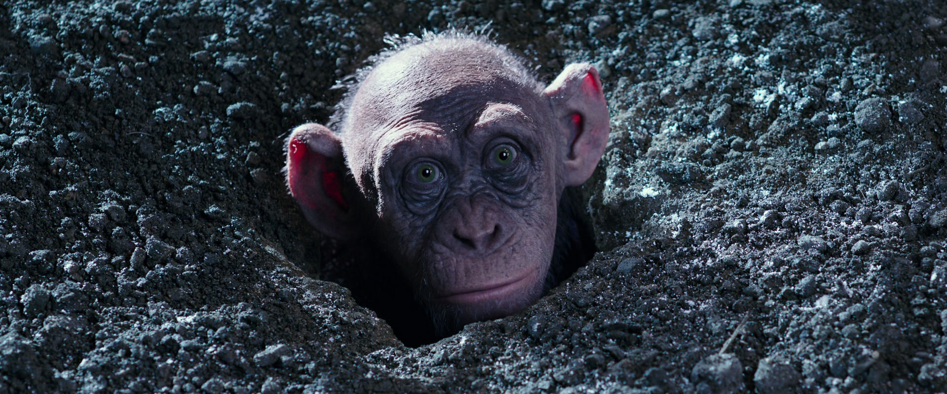 War for the Planet of the Apes (2017) HD screenshot 12332