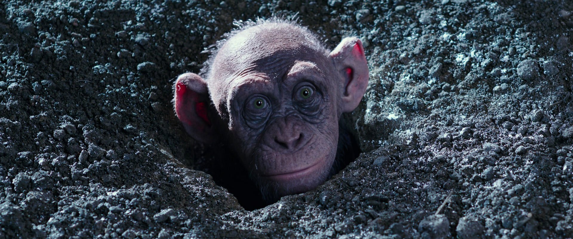War for the Planet of the Apes (2017) movie still 12334