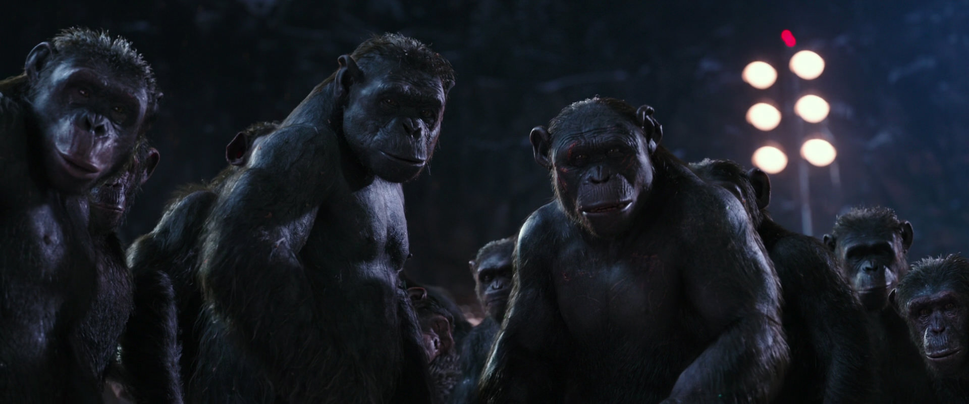 War for the Planet of the Apes (2017) screencap 12336