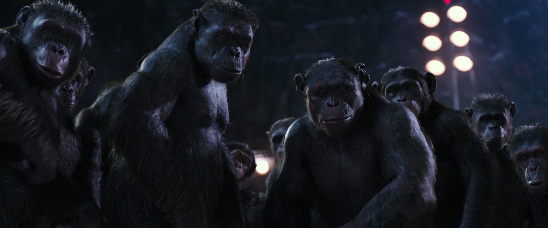 War for the Planet of the Apes (2017) movie still 12337