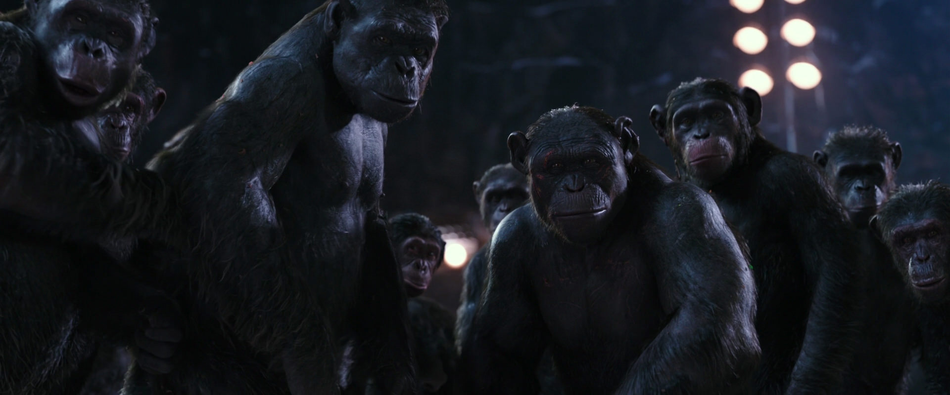 War for the Planet of the Apes (2017) HD screenshot 12338
