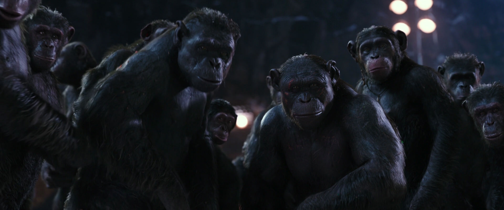 War for the Planet of the Apes (2017) screencap 12339
