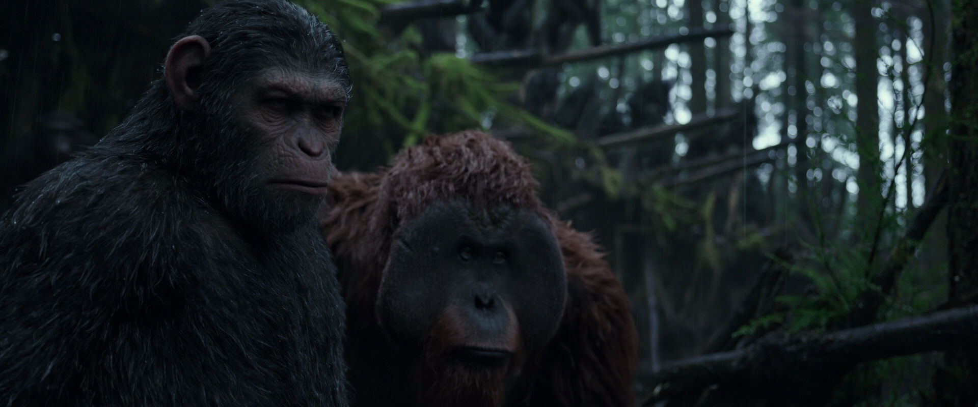 War for the Planet of the Apes (2017) movie still 1234