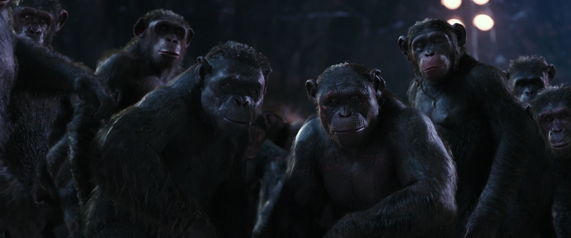 War for the Planet of the Apes (2017) movie still 12340