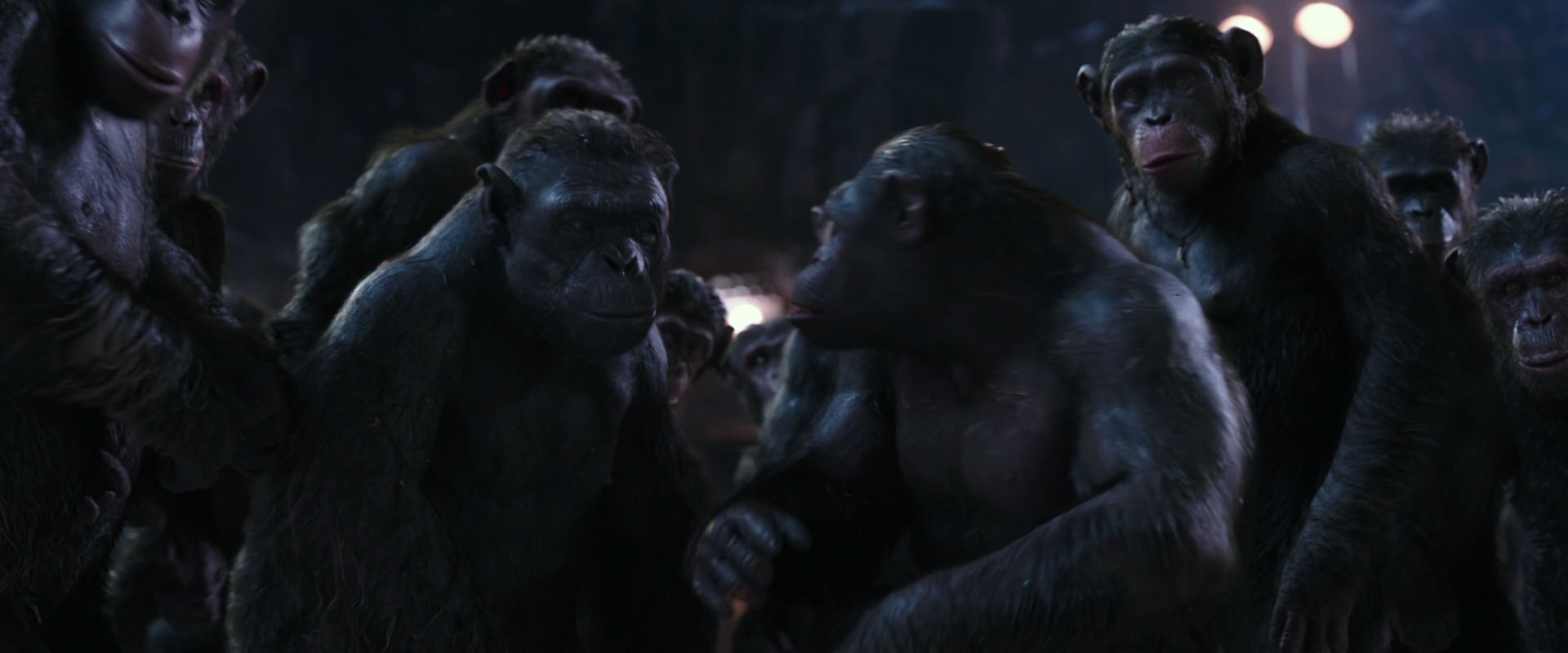 War for the Planet of the Apes (2017) screencap 12342