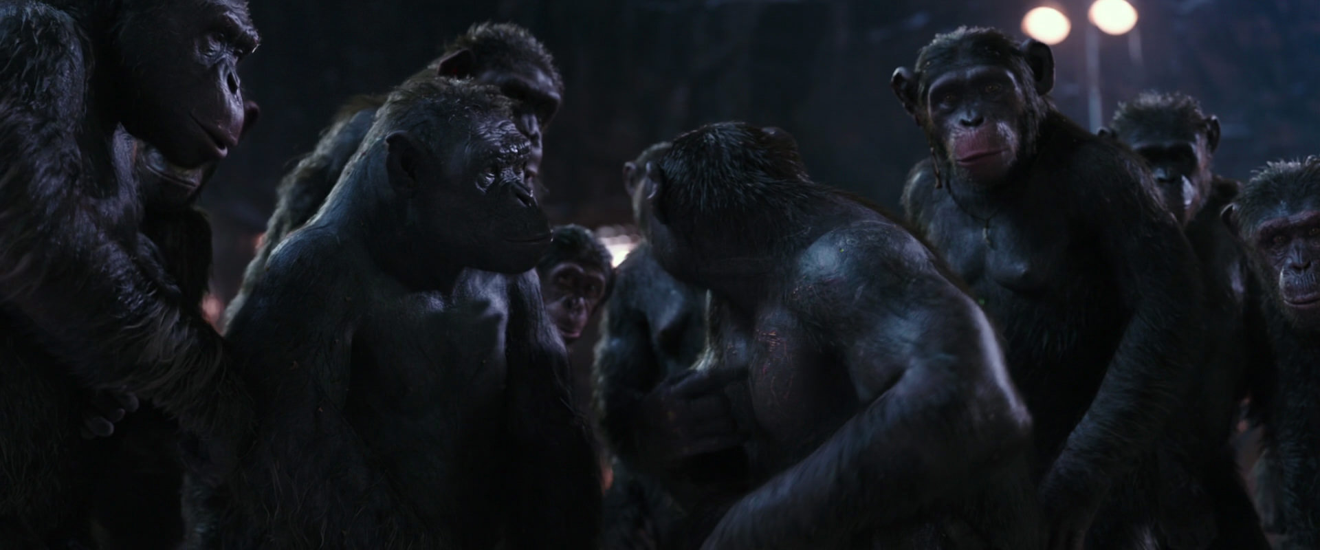 War for the Planet of the Apes (2017) movie still 12343