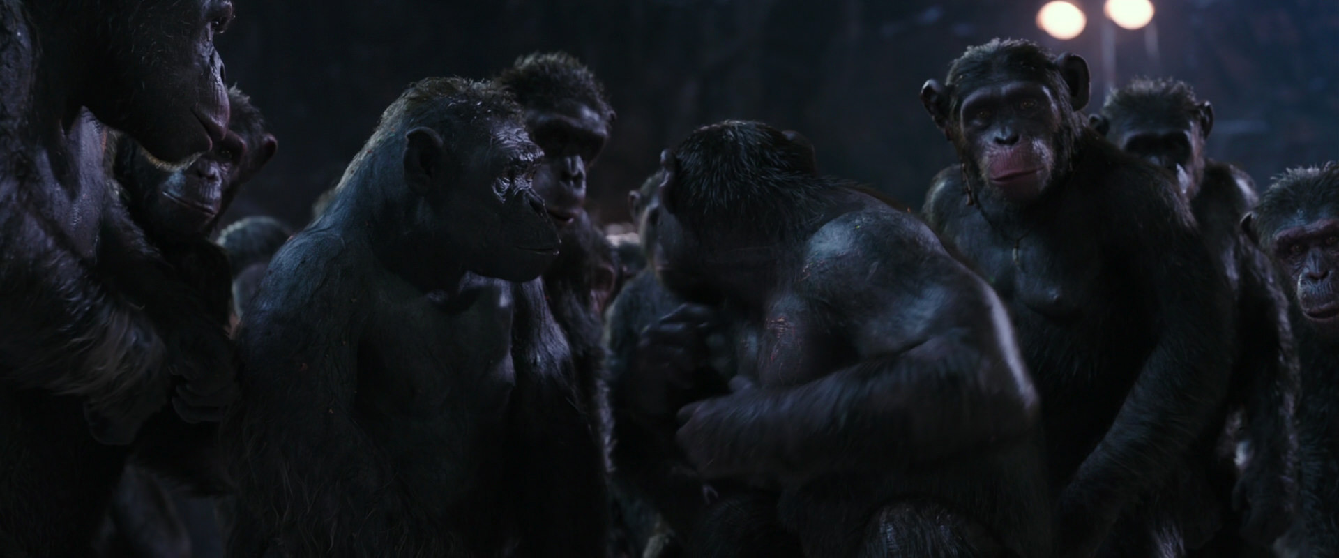 War for the Planet of the Apes (2017) HD screenshot 12344