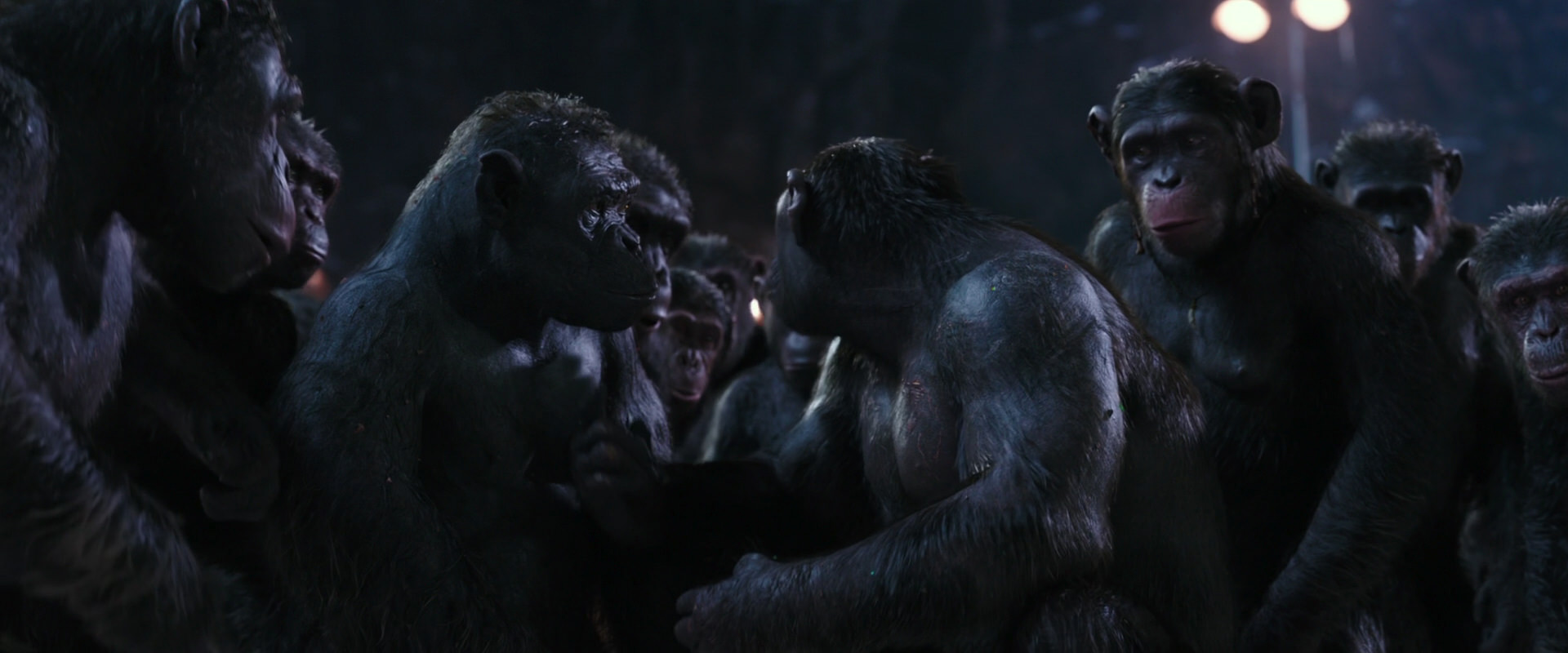 War for the Planet of the Apes (2017) screencap 12345