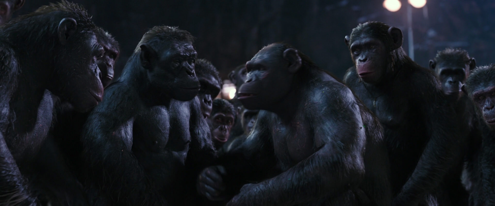War for the Planet of the Apes (2017) movie still 12346