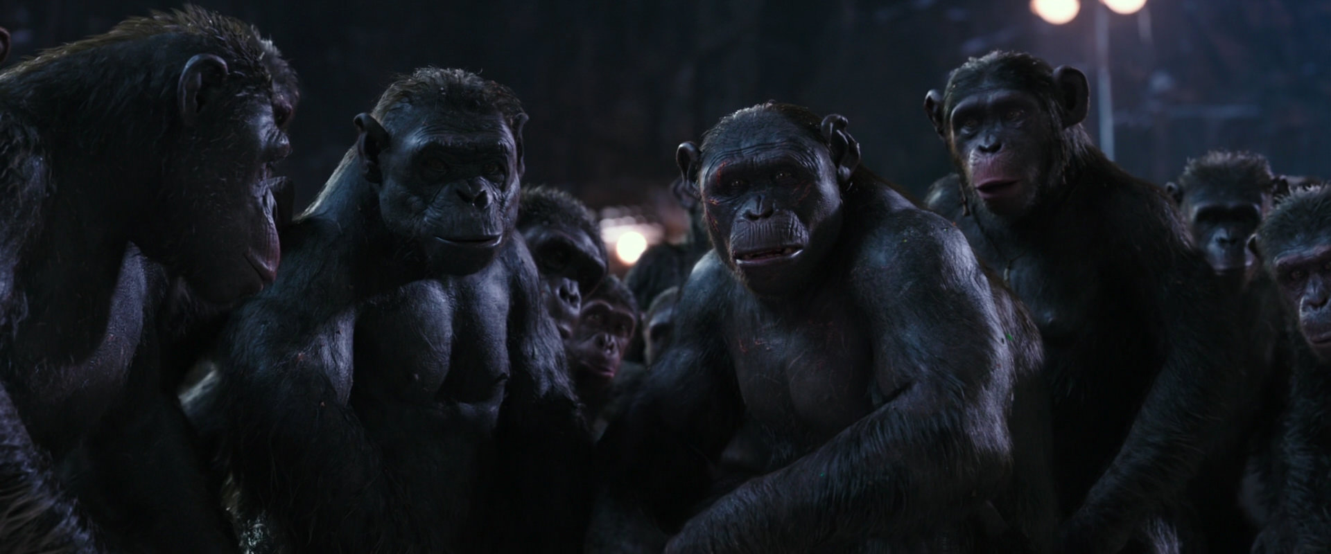 War for the Planet of the Apes (2017) HD screenshot 12347