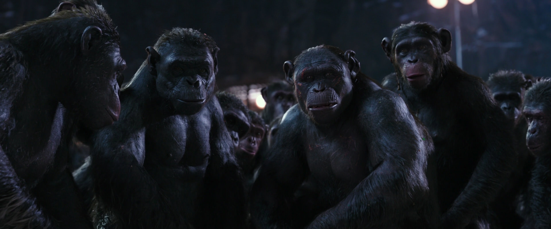 War for the Planet of the Apes (2017) screencap 12348