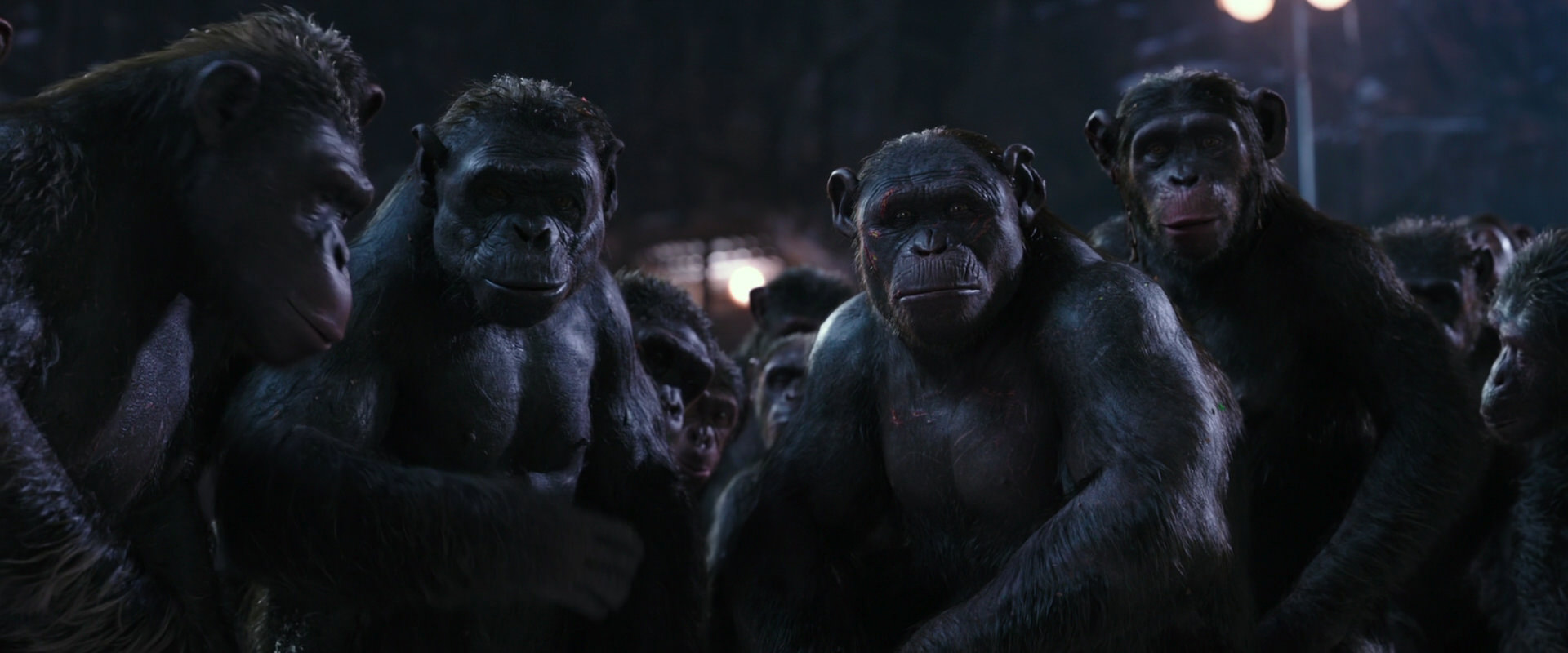 War for the Planet of the Apes (2017) movie still 12349