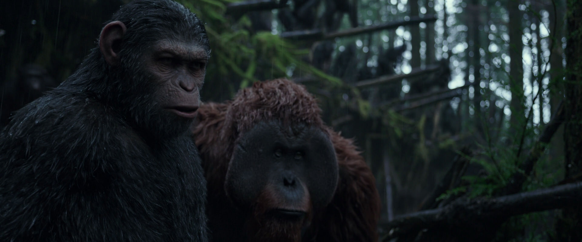 War for the Planet of the Apes (2017) HD screenshot 1235