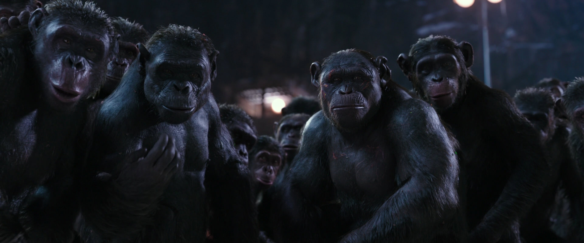 War for the Planet of the Apes (2017) movie still 12352