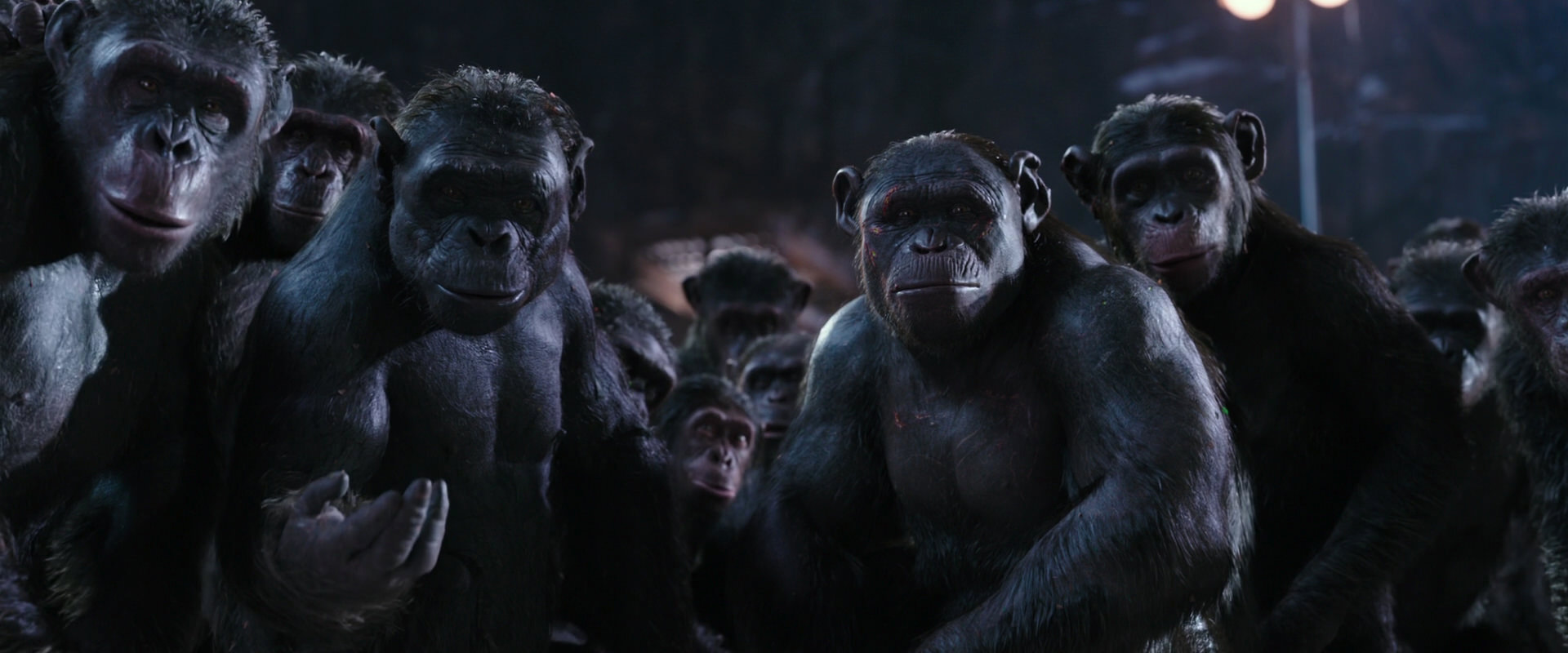 War for the Planet of the Apes (2017) HD screenshot 12353