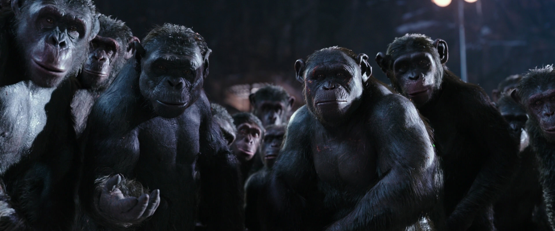 War for the Planet of the Apes (2017) screencap 12354