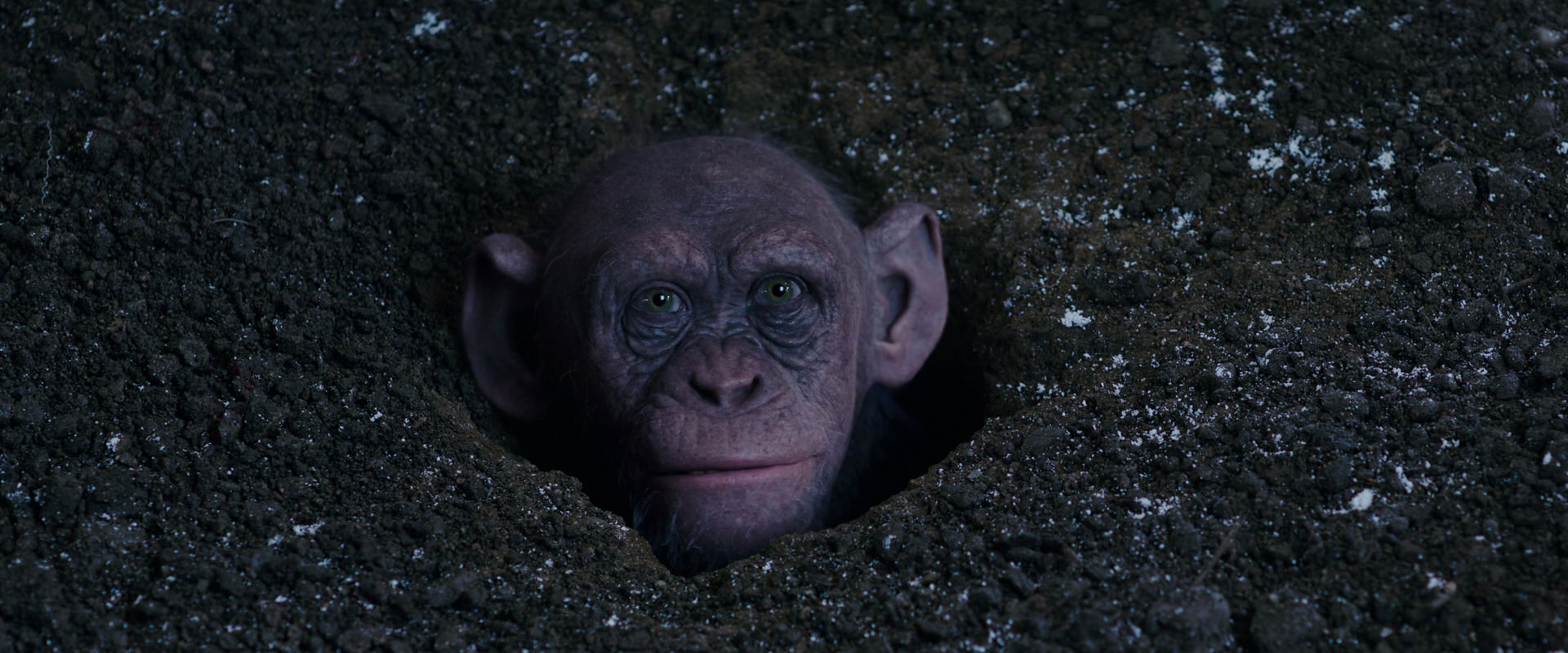 War for the Planet of the Apes (2017) movie still 12355