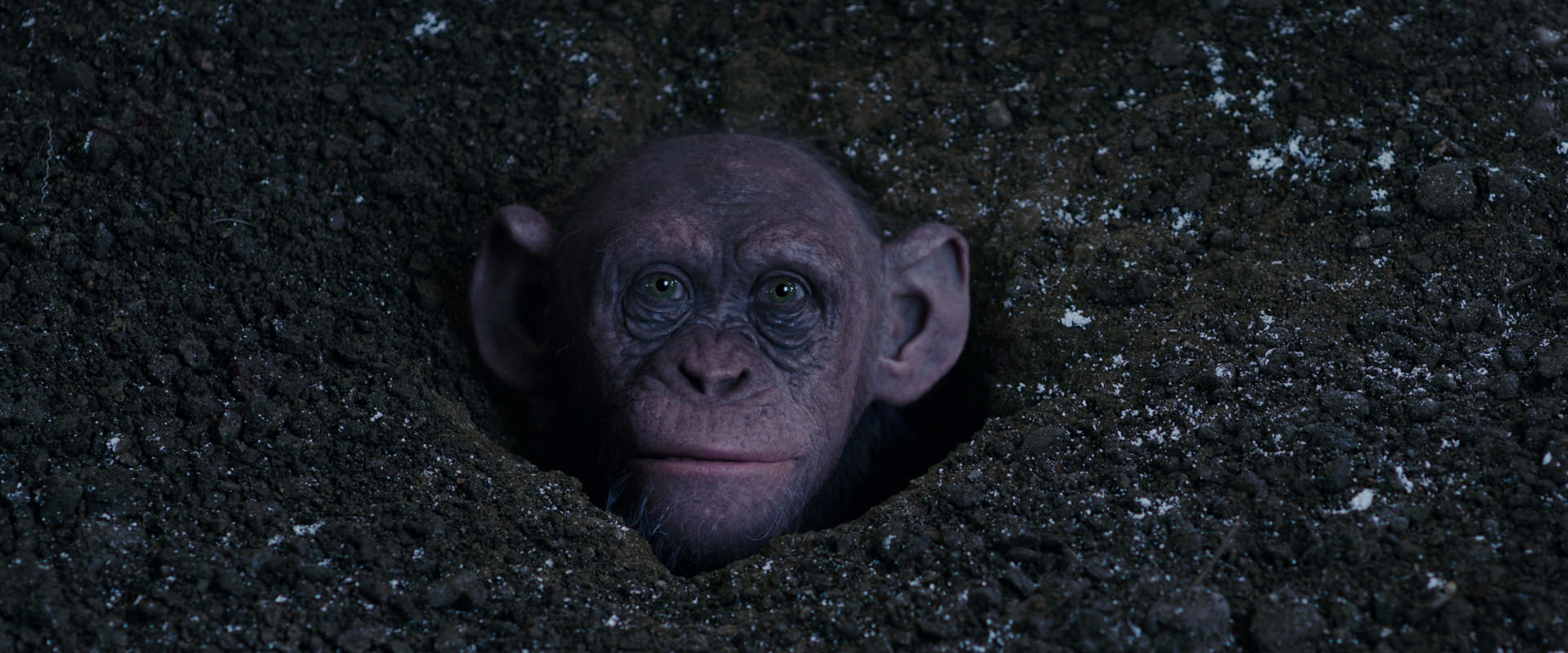 War for the Planet of the Apes (2017) HD screenshot 12356