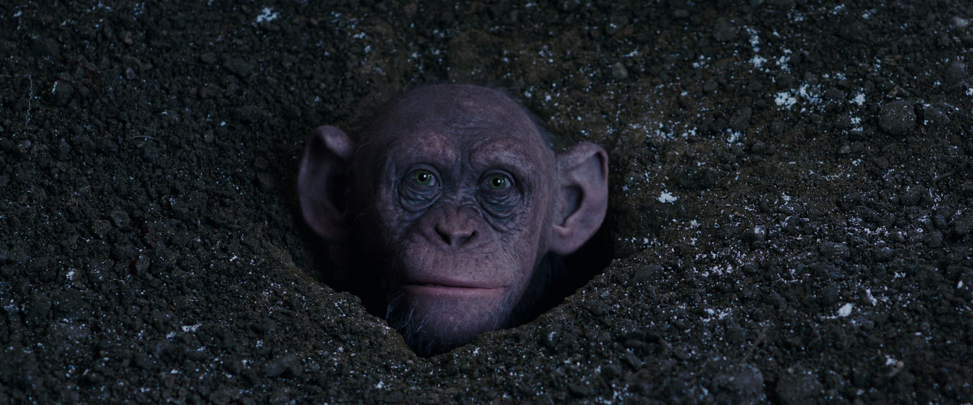 War for the Planet of the Apes (2017) screencap 12357
