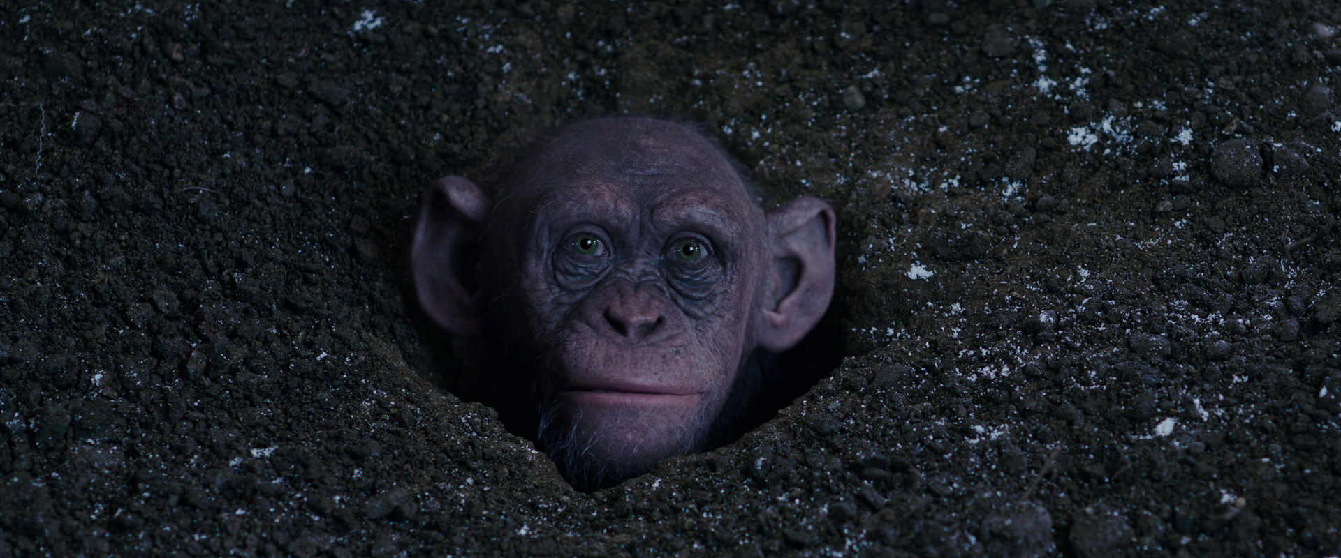 War for the Planet of the Apes (2017) movie still 12358