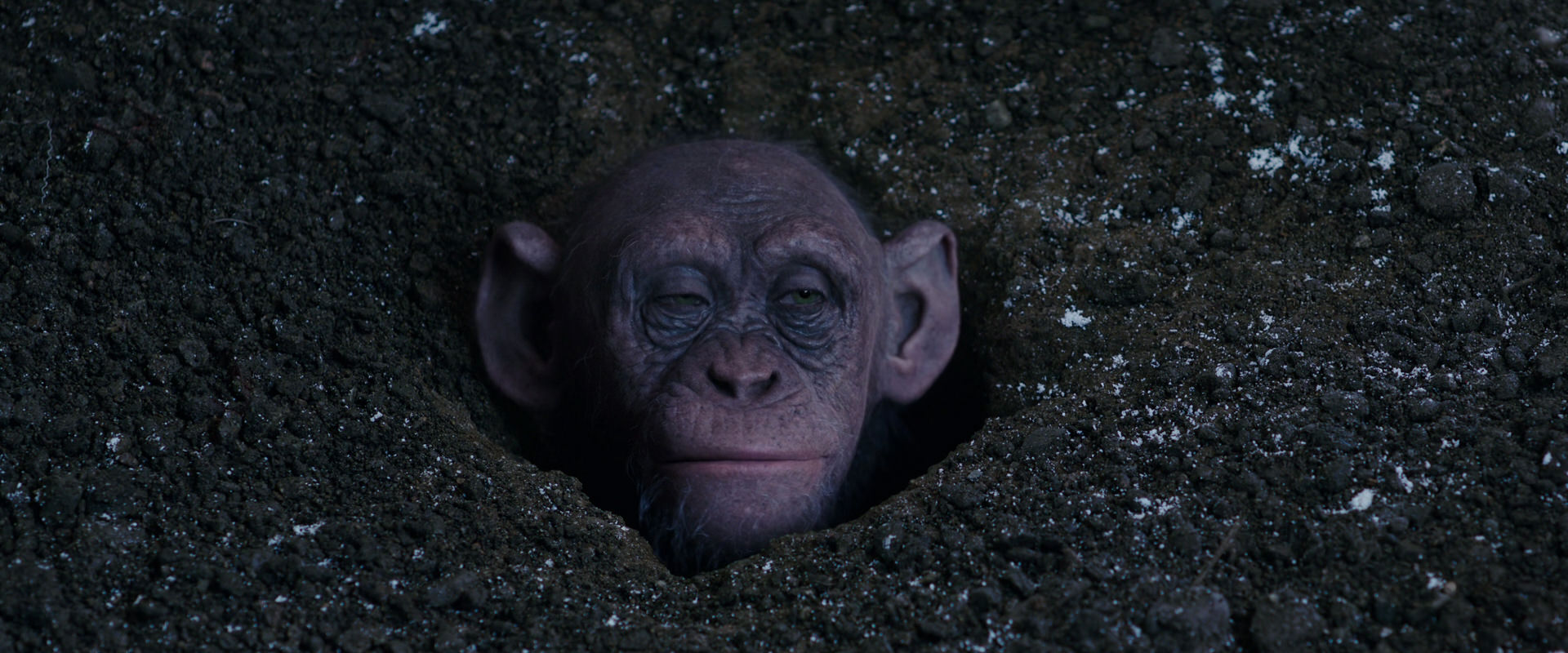 War for the Planet of the Apes (2017) HD screenshot 12359
