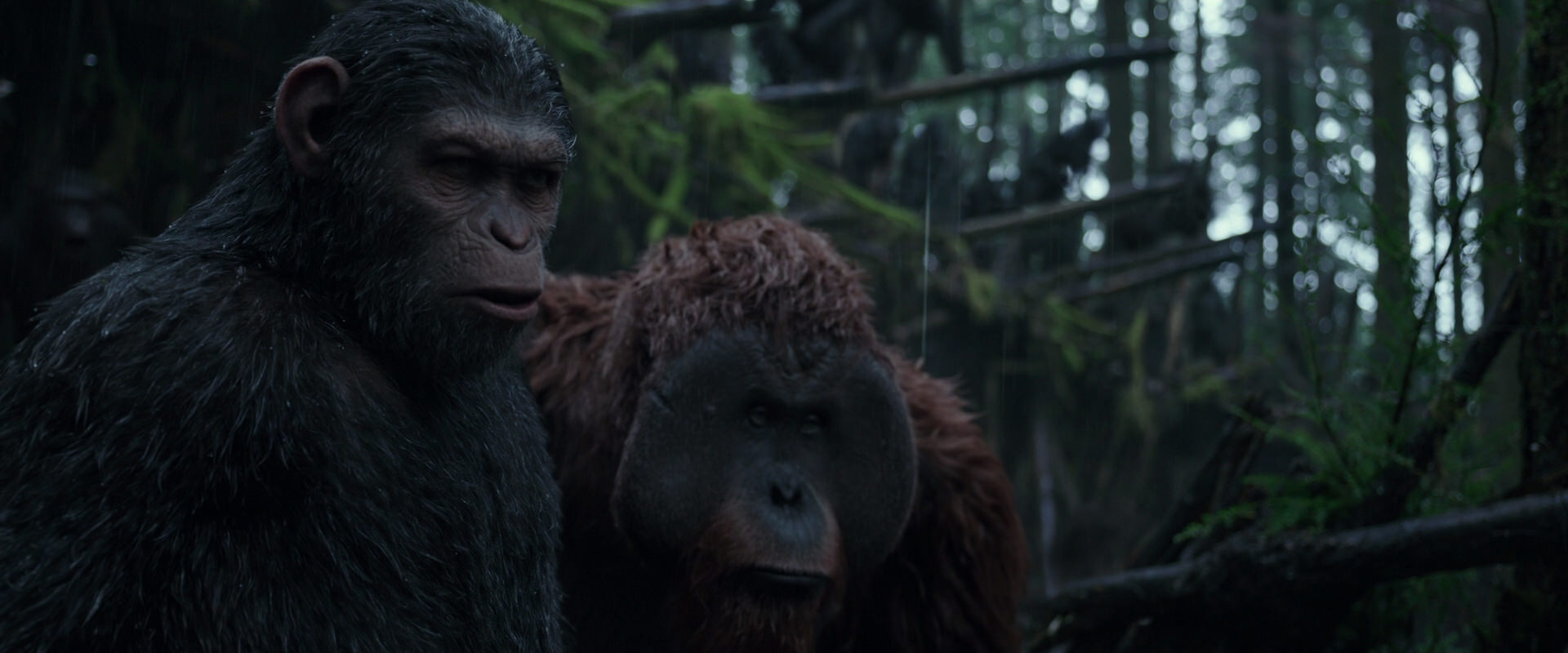 War for the Planet of the Apes (2017) screencap 1236