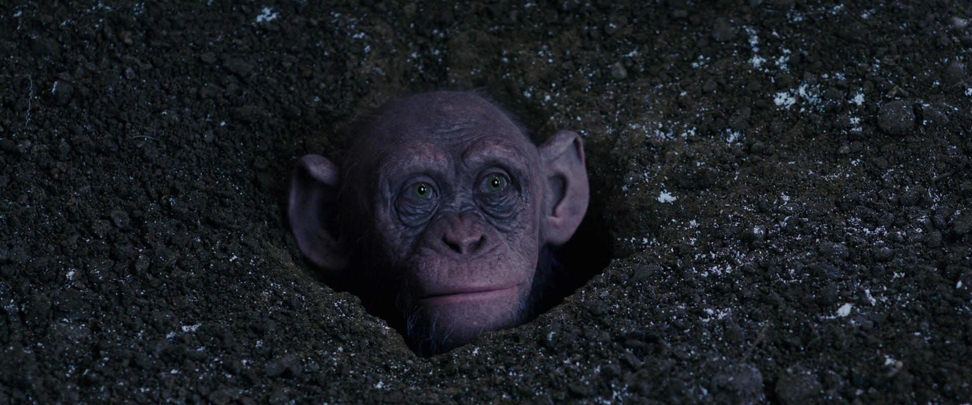 War for the Planet of the Apes (2017) screencap 12360