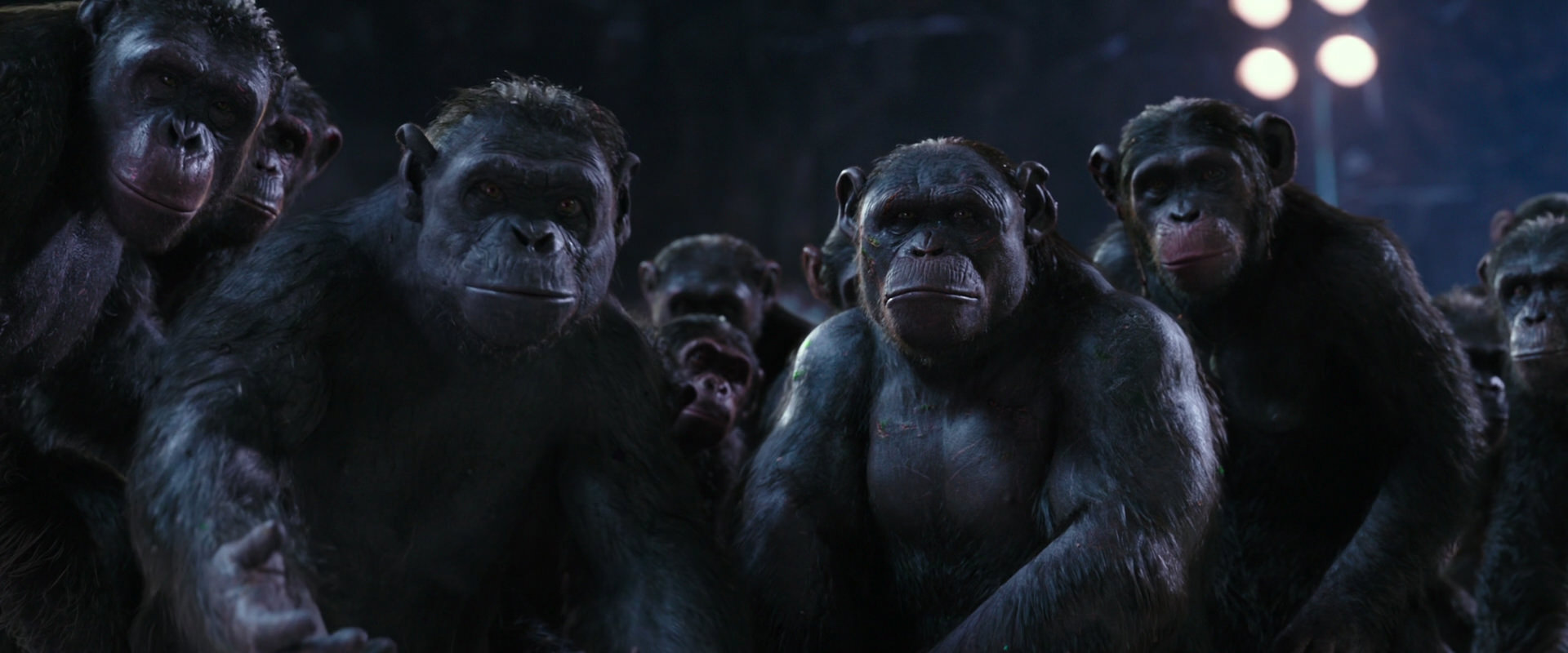 War for the Planet of the Apes (2017) movie still 12361