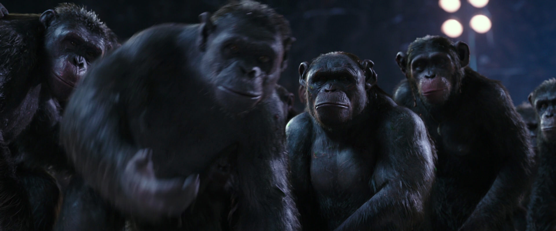 War for the Planet of the Apes (2017) HD screenshot 12362