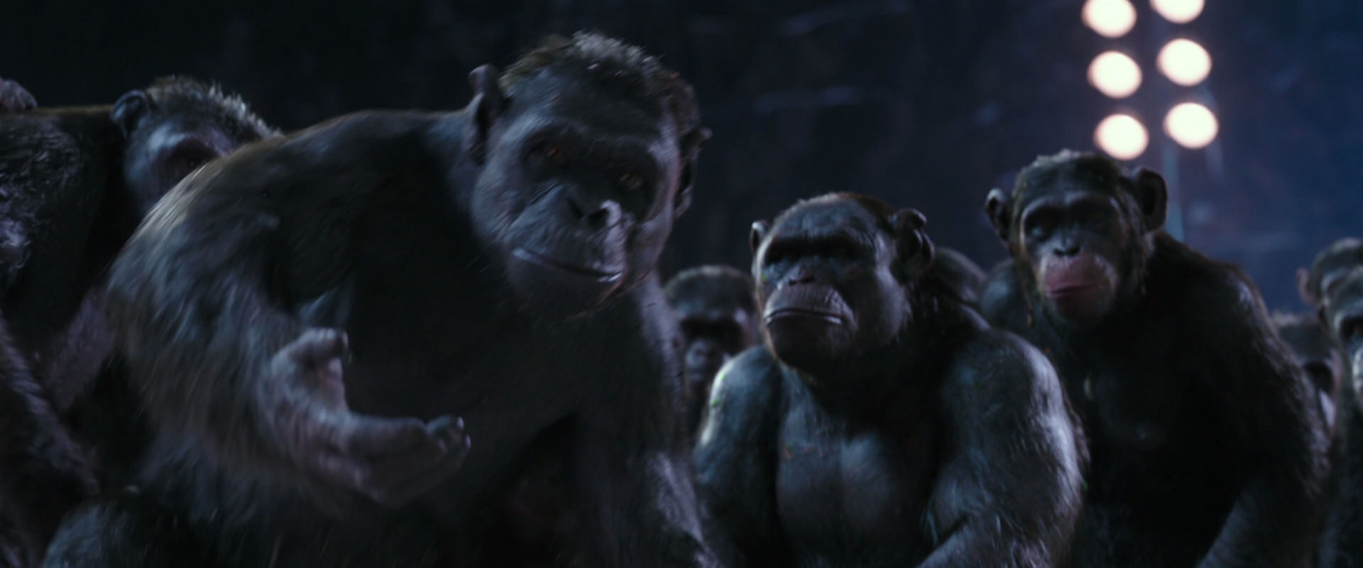 War for the Planet of the Apes (2017) screencap 12363