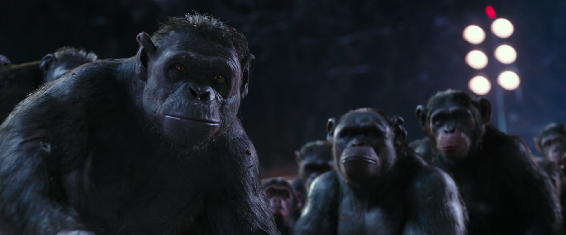 War for the Planet of the Apes (2017) movie still 12364