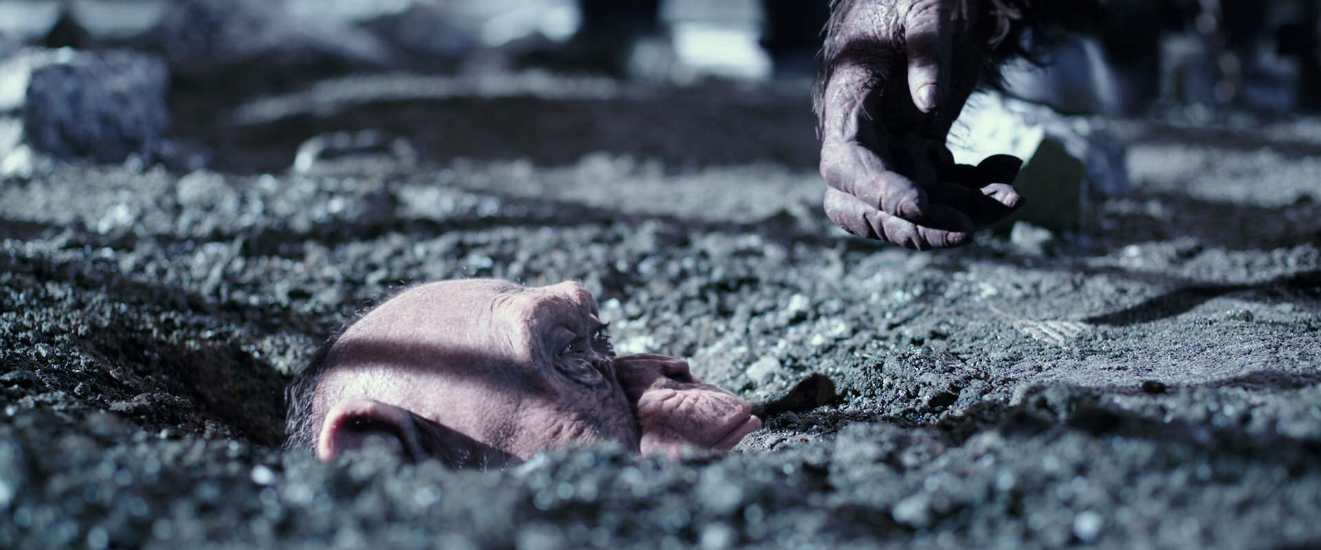 War for the Planet of the Apes (2017) movie still 12367