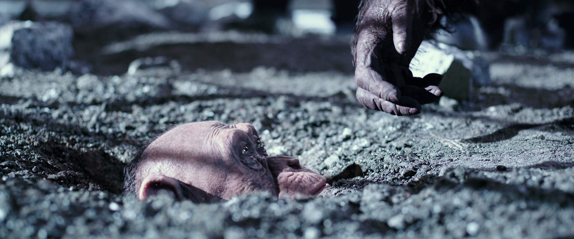 War for the Planet of the Apes (2017) screencap 12369