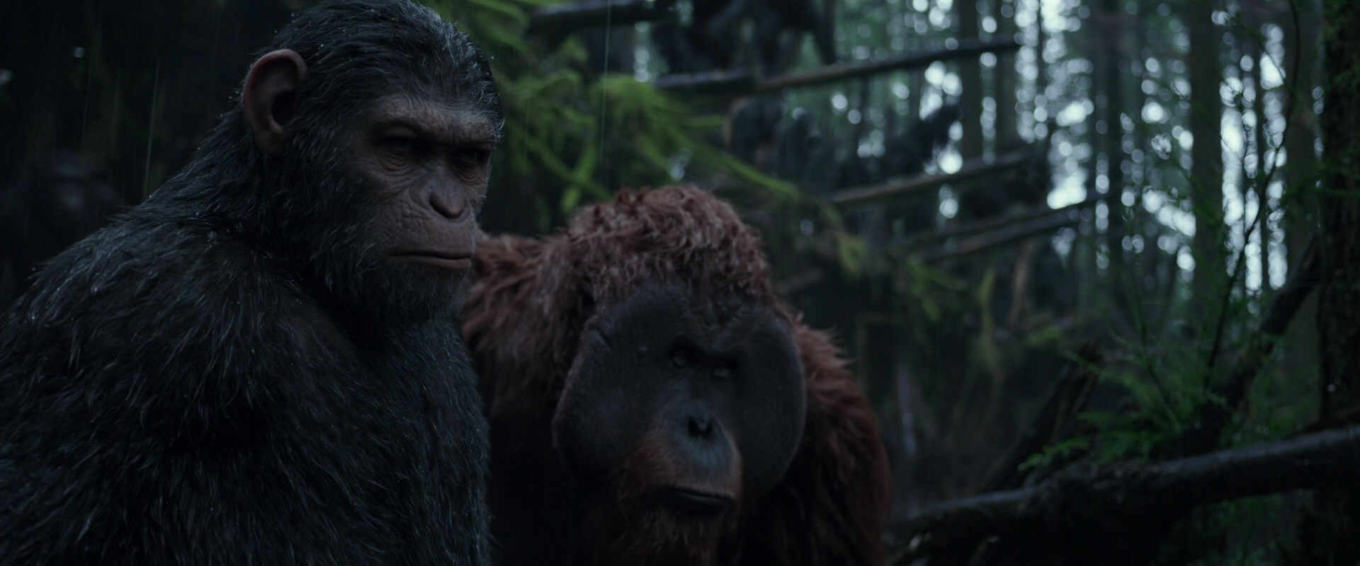 War for the Planet of the Apes (2017) movie still 1237