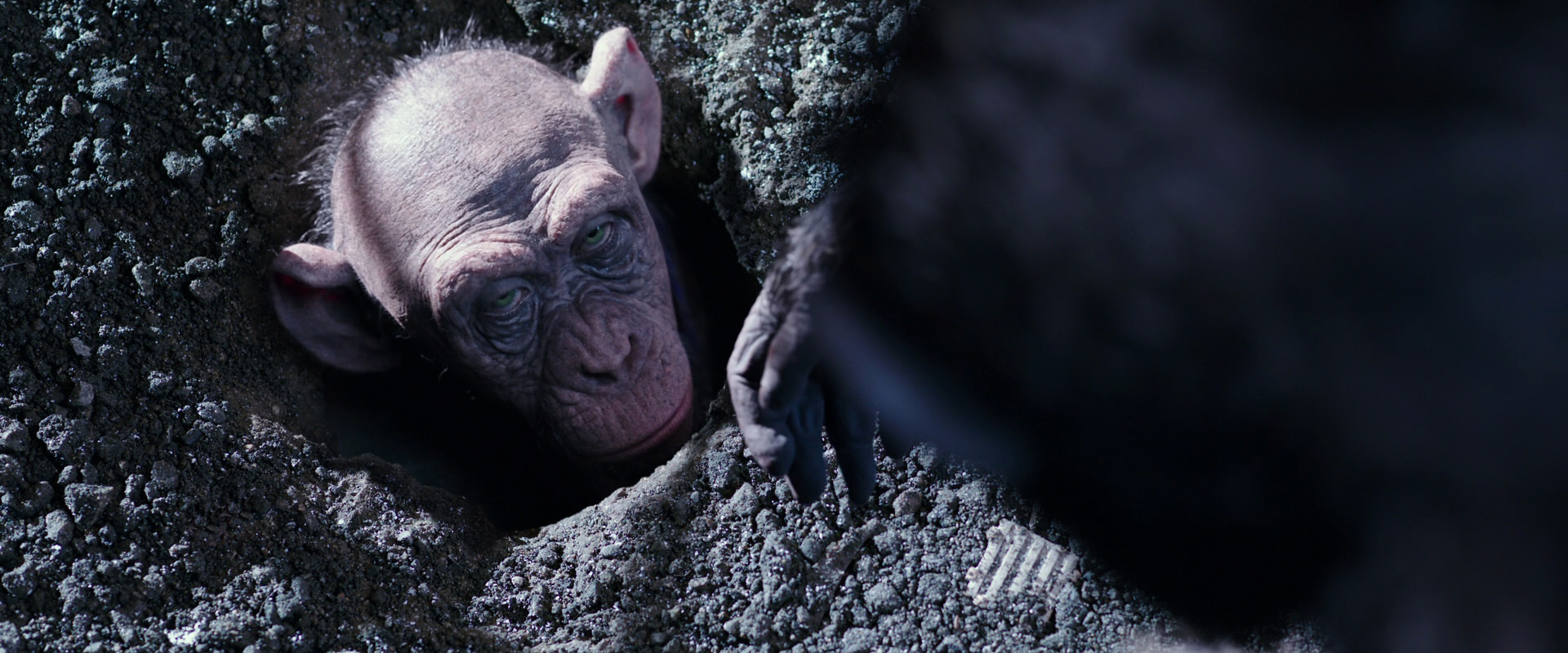 War for the Planet of the Apes (2017) movie still 12370