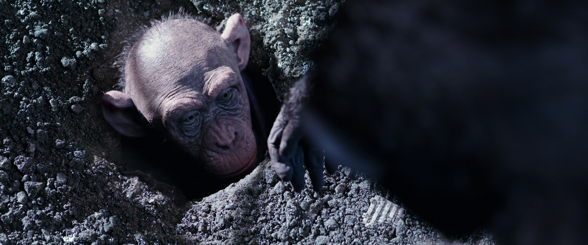 War for the Planet of the Apes (2017) screencap 12372