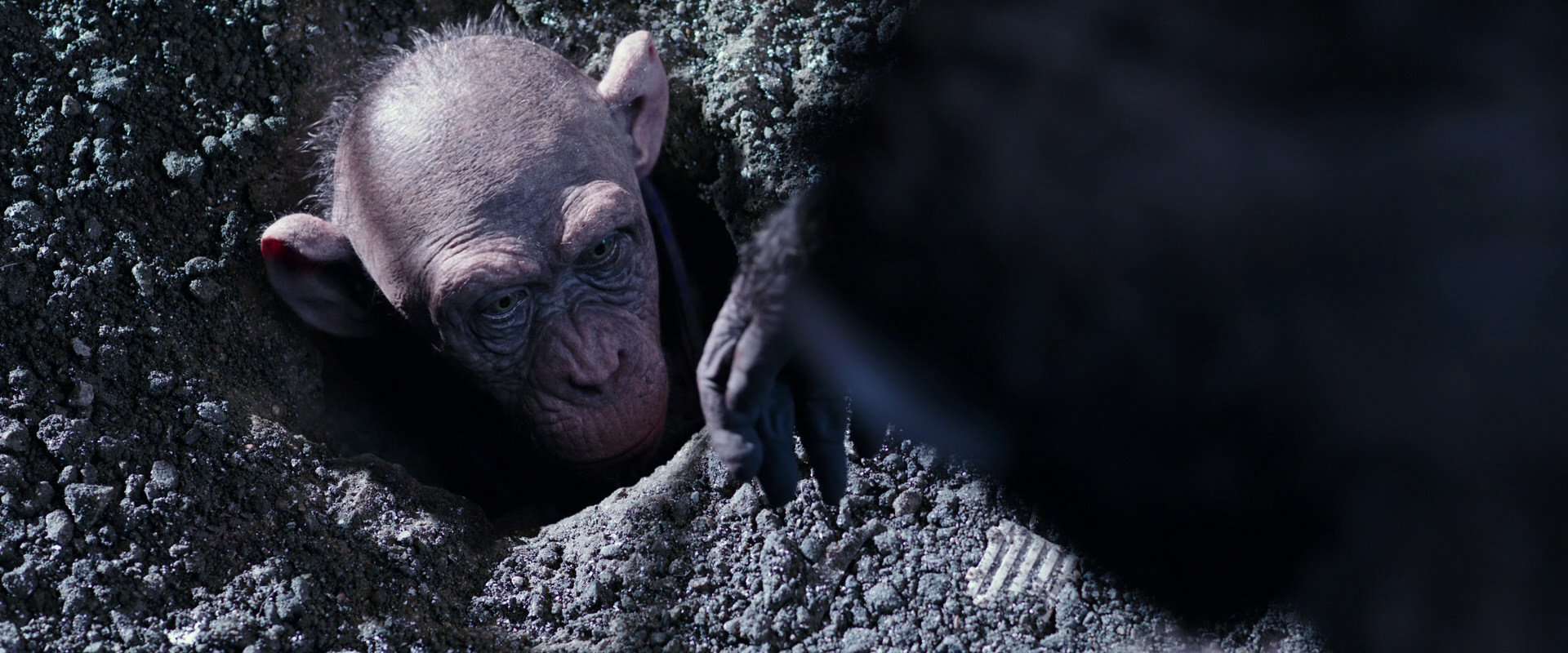 War for the Planet of the Apes (2017) movie still 12373