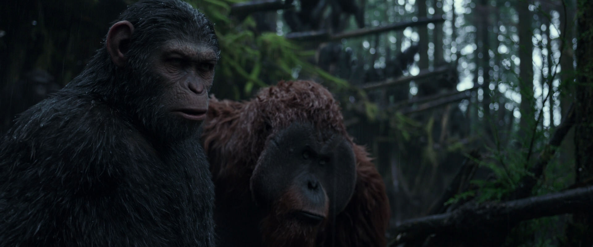 War for the Planet of the Apes (2017) HD screenshot 1238