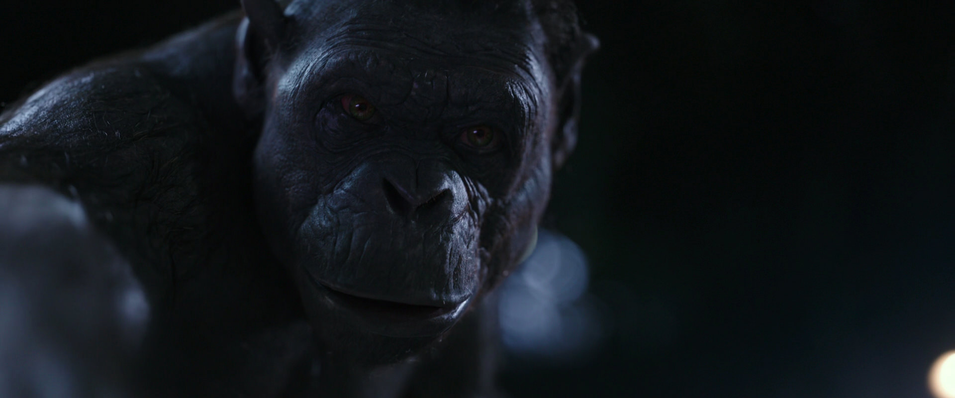 War for the Planet of the Apes (2017) HD screenshot 12386