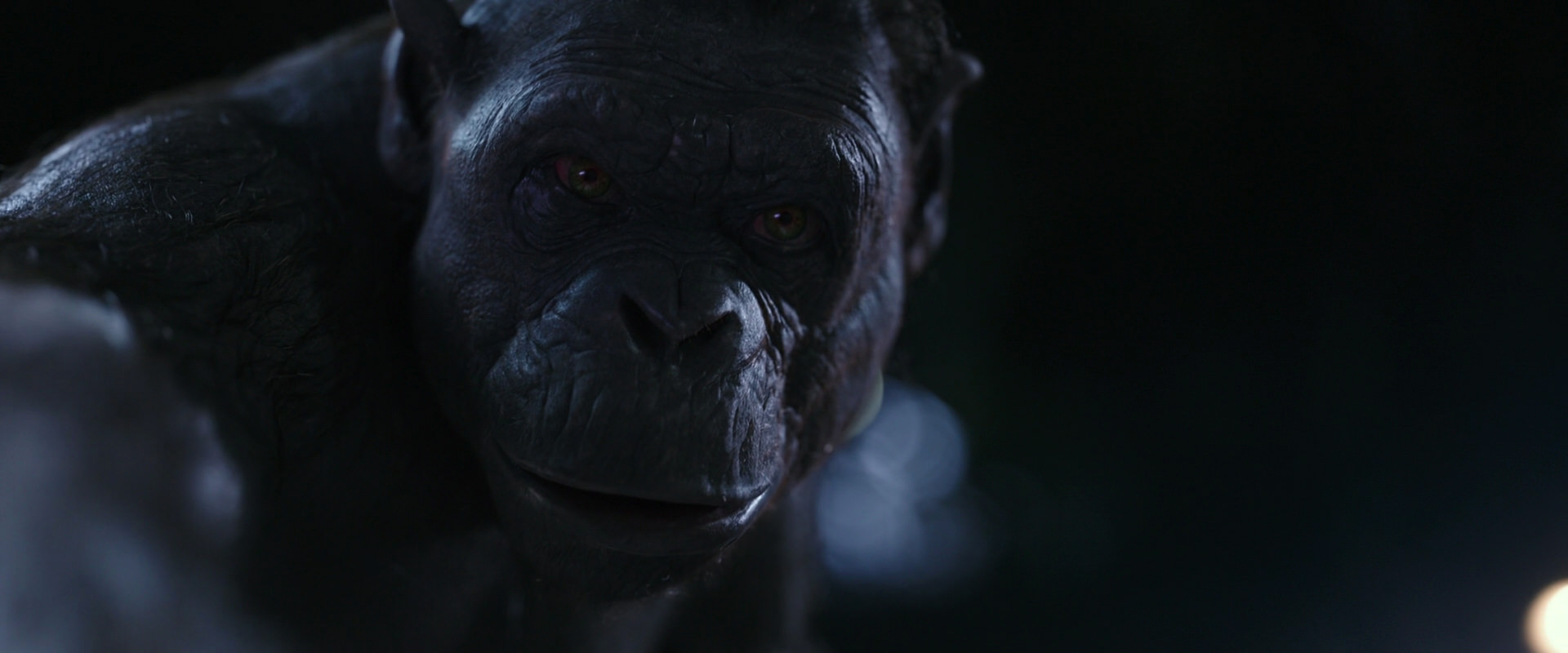 War for the Planet of the Apes (2017) screencap 12387