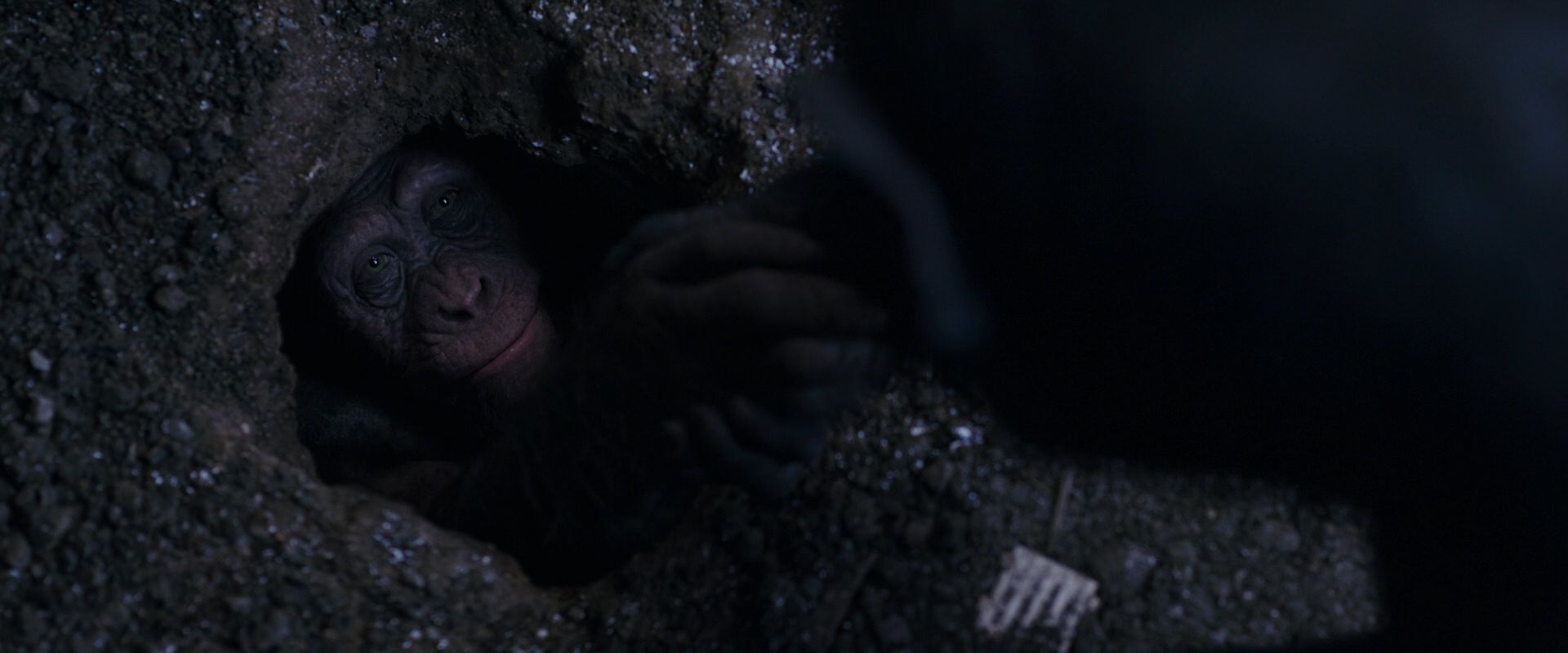 War for the Planet of the Apes (2017) movie still 12388