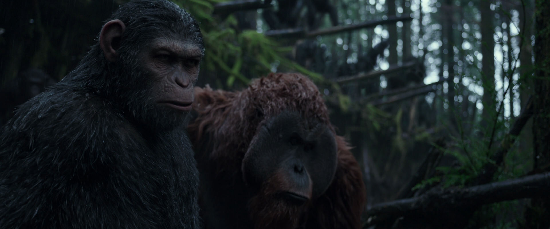 War for the Planet of the Apes (2017) screencap 1239