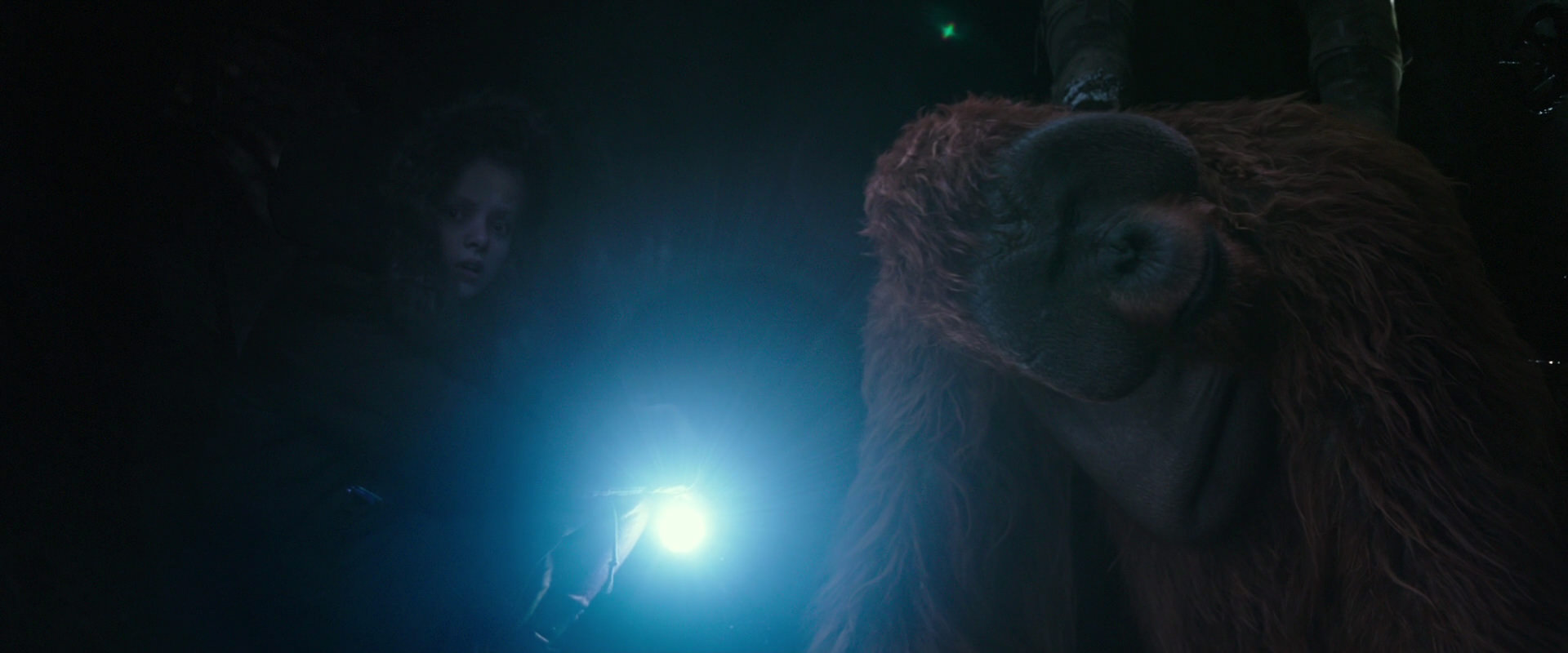 War for the Planet of the Apes (2017) screencap 12393