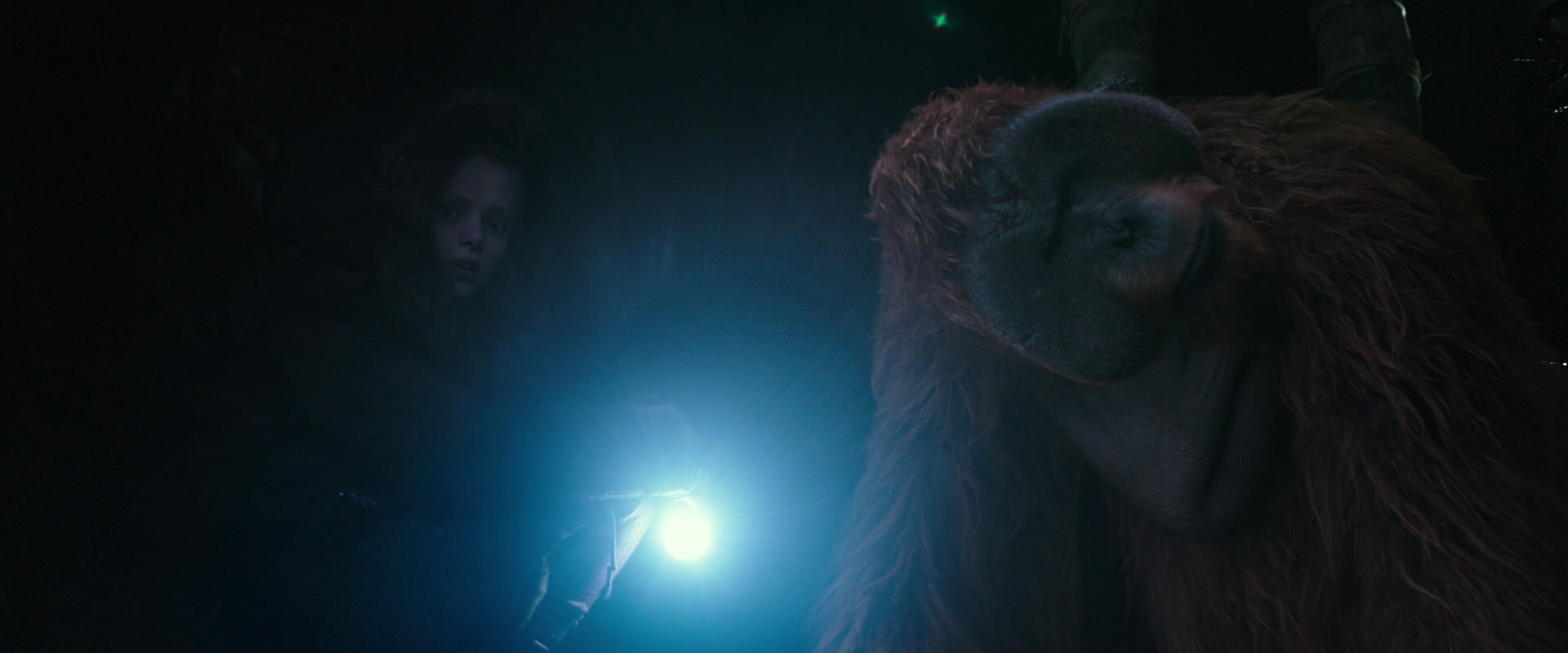 War for the Planet of the Apes (2017) movie still 12394
