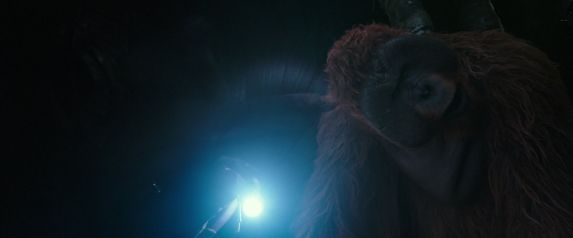 War for the Planet of the Apes (2017) screencap 12396