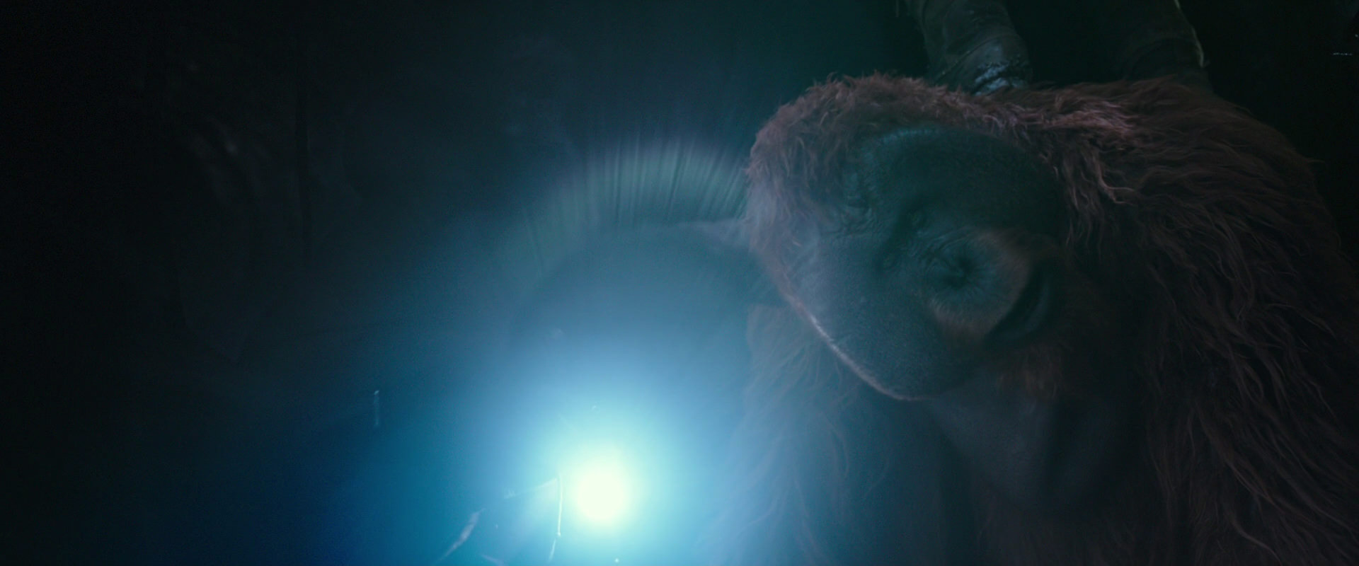 War for the Planet of the Apes (2017) movie still 12397