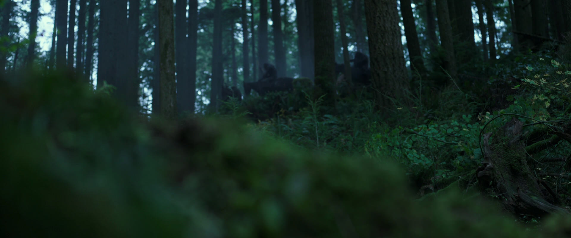 War for the Planet of the Apes (2017) movie still 124