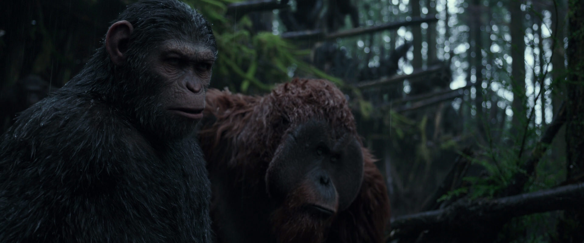 War for the Planet of the Apes (2017) movie still 1240
